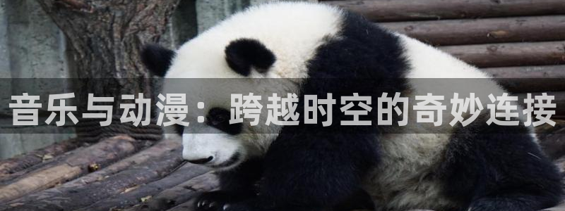 男人天堂动漫：音乐与动漫：跨越时空的奇妙连接