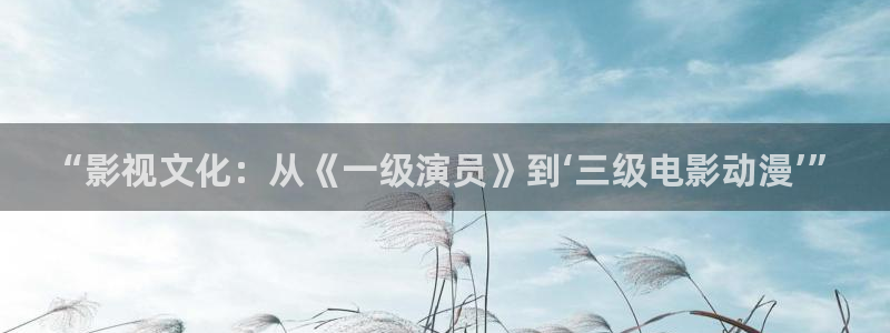 亚洲动漫天堂：“影视文化：从《一级演员》到‘三级电影动漫’”