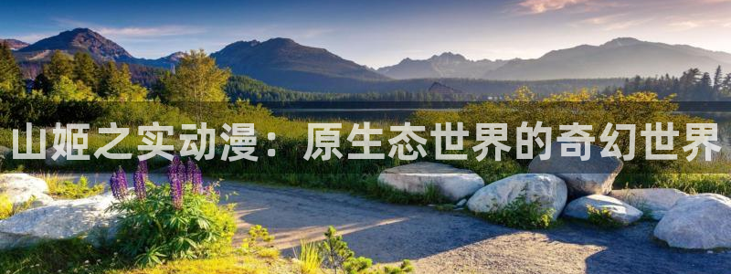 天堂动漫站：山姬之实动漫：原生态世界的奇幻世界