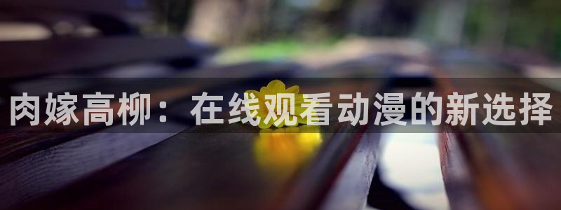 动漫天堂官网：肉嫁高柳：在线观看动漫的新选择